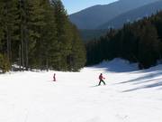 Easy family slope