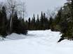 Ski resorts for advanced skiers and freeriding Quebec – Advanced skiers, freeriders Le Massif de Charlevoix