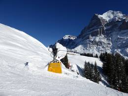 First – Grindelwald