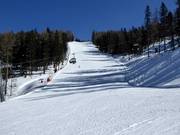 Zirbenwald Run