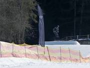 Jip Park Korer