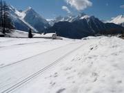 Loipa Dario Cologna