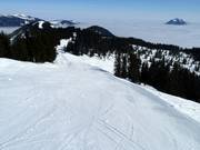 Easy Weiherkopf Run