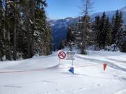 Forest areas must not be entered.
