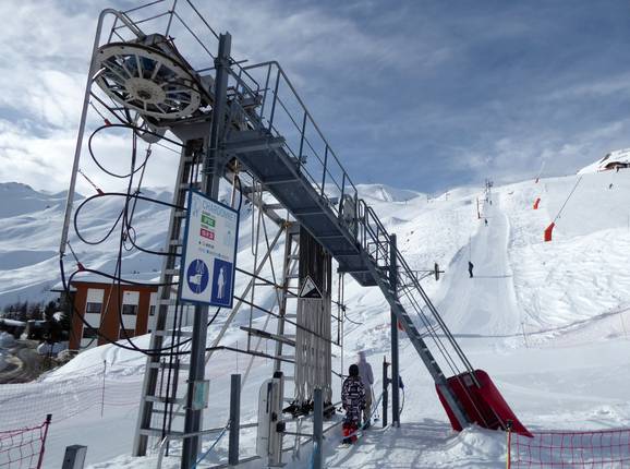 Chardonnet