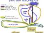 Trail map Entre-les-Fourgs (Jougne)