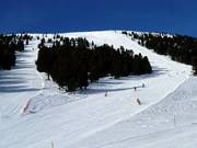 The slopes at Pala di Santa