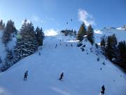 World Cup downhill