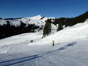 Uisar downhill run