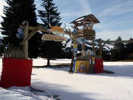 Les Portes du Soleil – Morzine/Avoriaz/Les Gets/Châtel/Morgins/Champéry