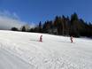Slope offering Upper Austria (Oberösterreich) – Slope offering Hochficht