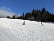 Easy and wide Rehberg run