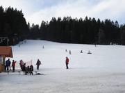 Easy slope at Kapellenberg