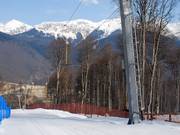 Halfpipe - T-bar