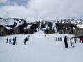 Photos Jackson Hole
