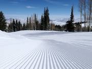 Very good slope grooming in Park City