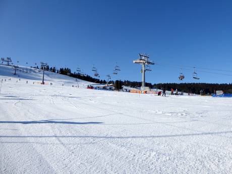 Poland: Test reports from ski resorts – Test report Zieleniec