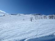 Off-piste slopes at the Kitteldalsliften