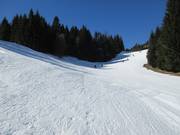 blue slope from Sonnenhang to Luttensee