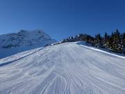 Slopes at Harschbichl and below the Kitzbüheler Horn