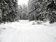 The Hunau trail is groomed only for classic technique.