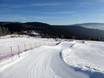 Snow parks Bavaria (Bayern) – Snow park Arber