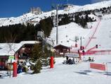 Aigle