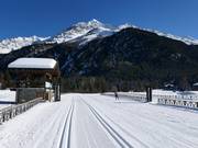 Cross-country trails in Santa Caterina Valfurva