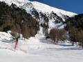 Slopes Languard – Pontresina