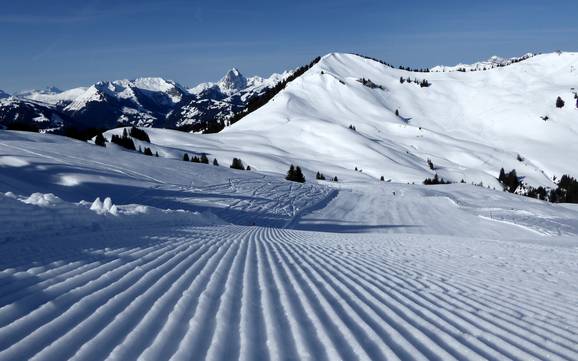 Slope preparation Gstaad – Slope preparation Rinderberg/Saanerslochgrat/Horneggli – Zweisimmen/Saanenmöser/Schönried/St. Stephan