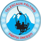Păltiniș