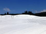 Wasenlift run