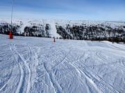 Wide slope Ravinbacke in Hundfjället