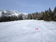 Easy slope at Drachenlift II