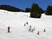 Ski course