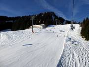 Stuiben run