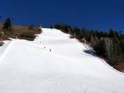 Black slope Piculin