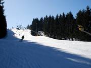 Well inclined: slope at Poppenberg