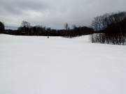 Timberline Lane