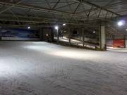 Beginner area in the lower part of the ski hall