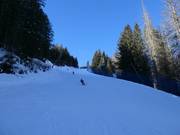 Tognola Uno slope