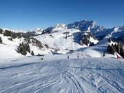 Bretaye-Orsay slope (Villars)