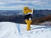 Snow reliability Australia and Oceania – Snow reliability Treble Cone