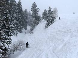 Park City