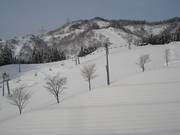 View of the Naspa Ski Garden ski resort