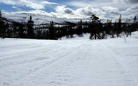 Slope preparation Vemdalen – Slope preparation Vemdalsskalet
