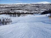 Slope Renen No. 44