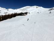 Seppenalm run