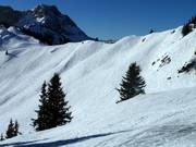 Open ski area