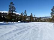 Wide and easy slopes dominate the Stöten ski area